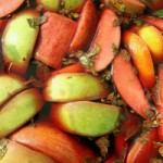 Fruit Tea Recipe