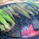 BBQ Corn