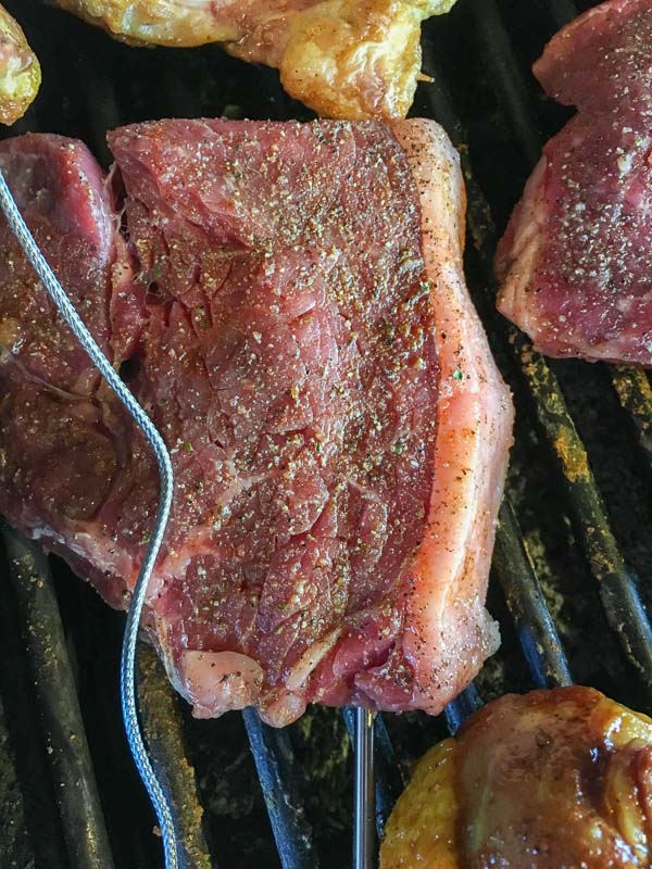 ThermPro Steak Probe